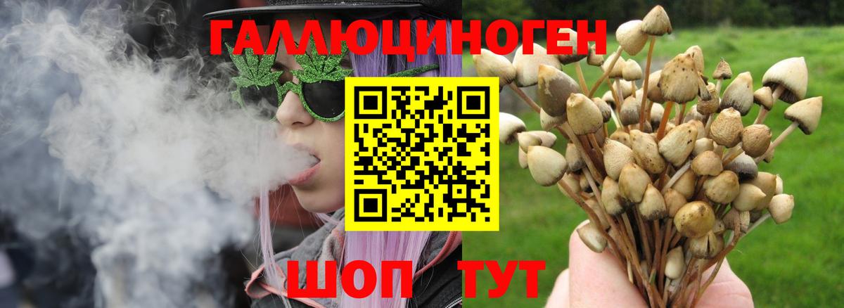 Галлюциногенные грибы ЛСД  Псилоцибиновые грибы Psilocybe  Вход с VPN  Малоярославец 